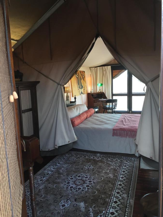 המנסקראל Out In Africa Wildlife Lodge מראה חיצוני תמונה